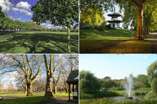 Wandsworth Parks