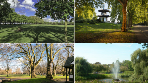 Wandsworth Parks